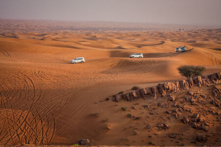 Desert Safariの写真素材