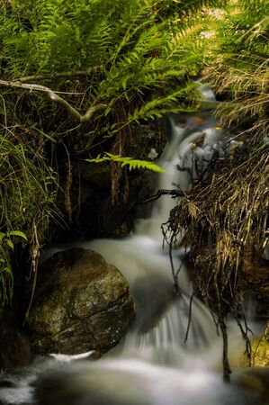 Small woodland stream at Lauvås.の写真素材
