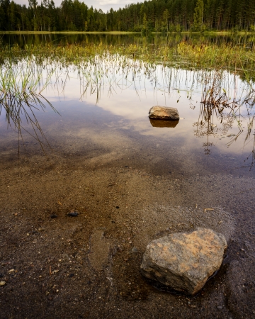 Woodland lake at StavÃ¥sen, Hedmark, Norway の写真素材