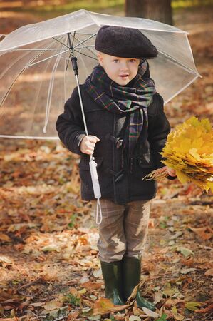 Boy in fashion hat under umbrella in park at autumn with yellow foliage.の写真素材