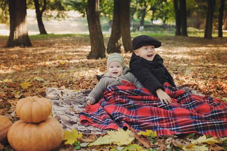 Brothers under a blanket in autumn outdoor.Yellow foliage.の写真素材