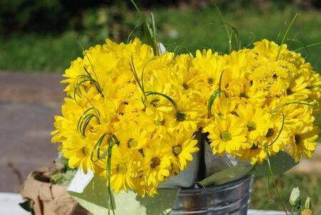 Yellow chrysanthemum bouquet in the aluminum bucket on the streetの写真素材