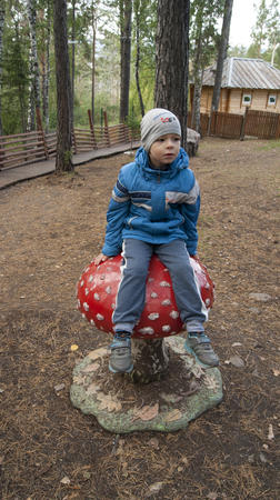 swing fly agaricの写真素材
