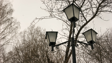winter walk around the city