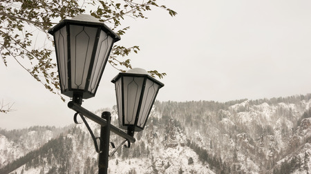 lights in the Parkの写真素材