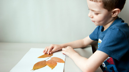 boy collects the applicationの写真素材