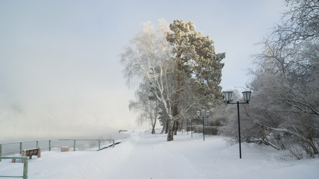 the river Bank in the coldの写真素材