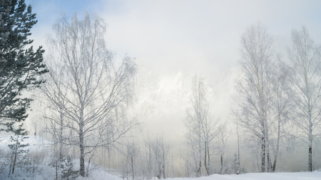 the river Bank in the coldの写真素材