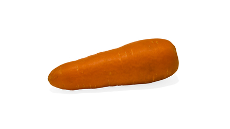 washed fresh carrots on white backgroundの写真素材