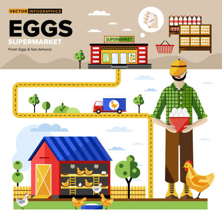 Eggs of own production with fast delivery to the supermarket. Vector Infographics.のイラスト素材