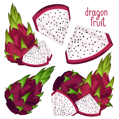 Composition of Dragon Fruit on white backgroundのイラスト素材