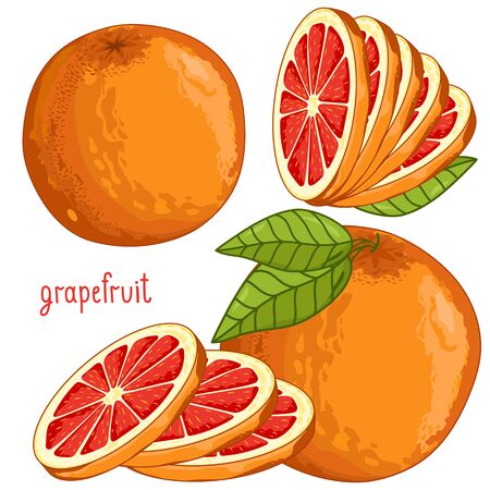 Composition of Grapefruit on white backgroundのイラスト素材