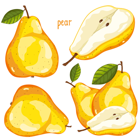 Composition of Pear on white backgroundのイラスト素材