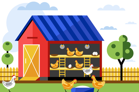 Chicken and egg farm, vector illustration. Poultry farm.のイラスト素材