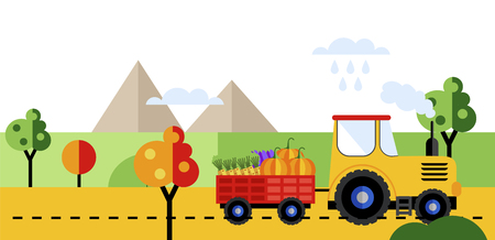 Farm tractor rides along the fields and drives the harvest of vegetables.のイラスト素材
