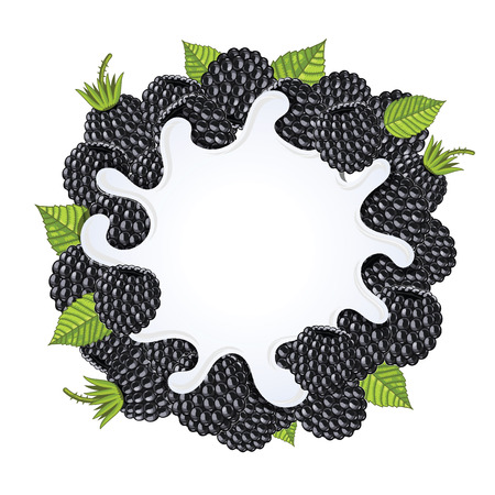 Yogurt splash isolated on blackberries. Milk splash, blackberries yogurt.のイラスト素材