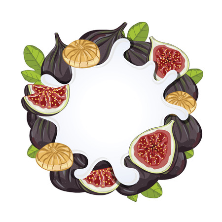 Yogurt splash isolated on figs. Milk splash.のイラスト素材