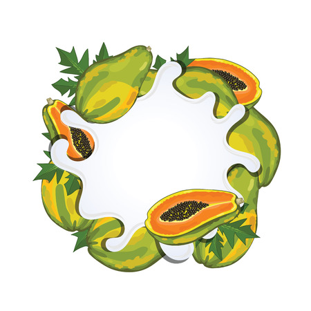 Yogurt splash isolated on papaya. Milk splash.のイラスト素材