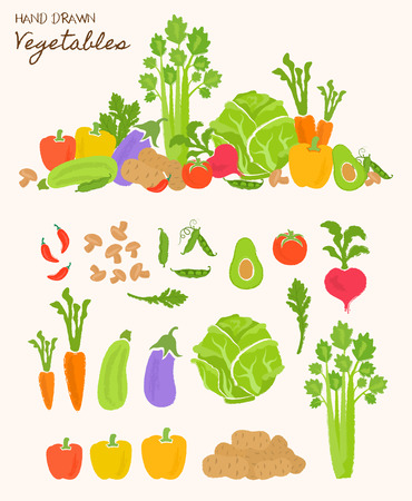Healthy food background. Isolated vegetable and fruit vector illustration. Vegetarian menu elements. Natural food concept. Carrot, tomato. Hand drawn vegetables.のイラスト素材