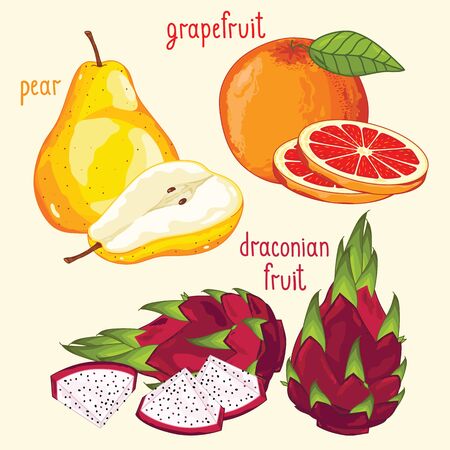 Set of fruit mix vector isolated. Healthy eat. Dragon fruit, pear and grapefruit fruit. Natural organic food. Ingredients for a vegetarian meal. Sweet and ripe summer fruit.のイラスト素材