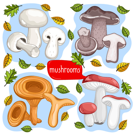 Different types of mushrooms set isolated on white background vector illustrationのイラスト素材