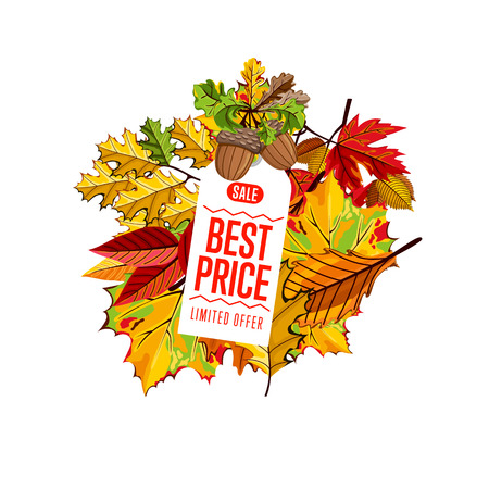Autumn seasonal sale badge, vector illustration. Best price, limited offer label on white background with colorful autumn leaves. White price tag with red text. Autumnal discount.のイラスト素材