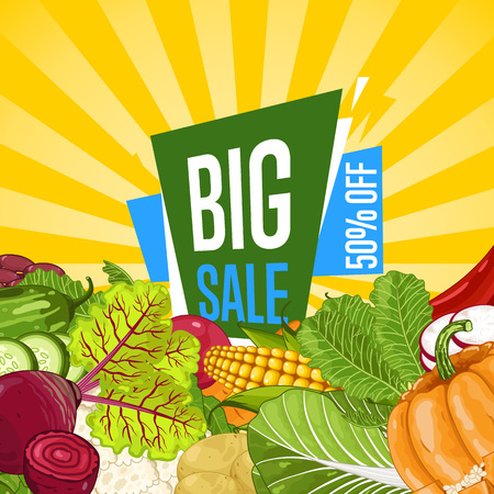 Big sale proposition for farm food bannerのイラスト素材