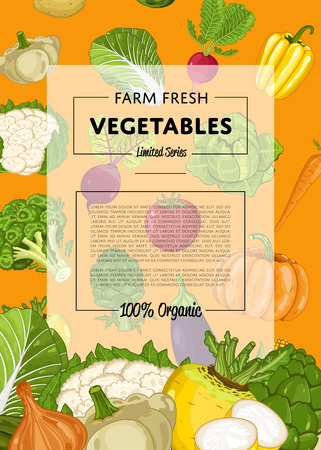 Fresh farm food banner with vegetableのイラスト素材