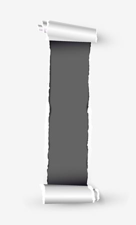 White torn paper scroll with space for text.のイラスト素材