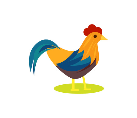 Cute rooster isolated vector iconのイラスト素材
