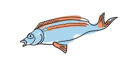 Ocean fish hand drawn isolated iconのイラスト素材