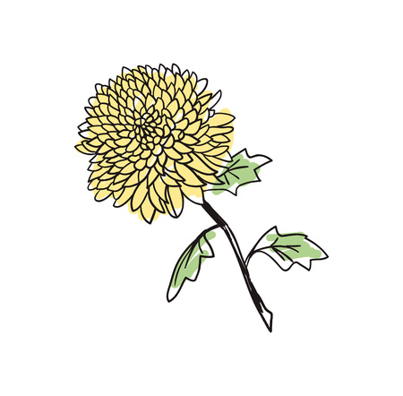Yellow flower hand drawn iconのイラスト素材