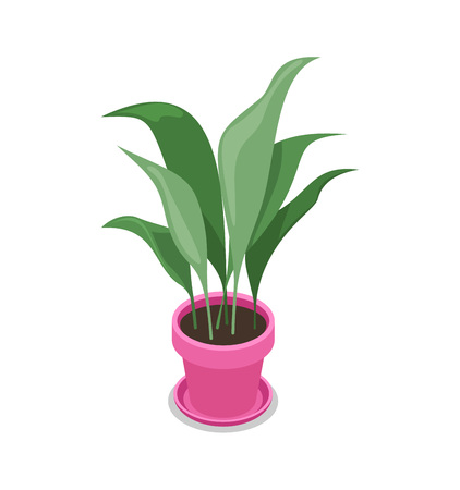 Beautiful flower in pot isometric 3D icon.のイラスト素材