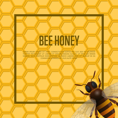 Honeybee on honeycomb retail bannerのイラスト素材