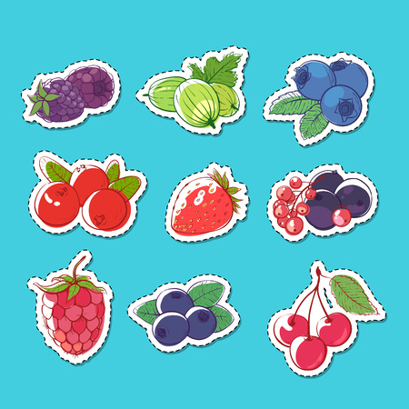 Fresh and juicy berries isolated labels on blue background. Raspberry, berry, strawberry, gooseberry, currant, blueberry, cherry. Natural sweet food, healthy vegan nutrition vector illustration.のイラスト素材