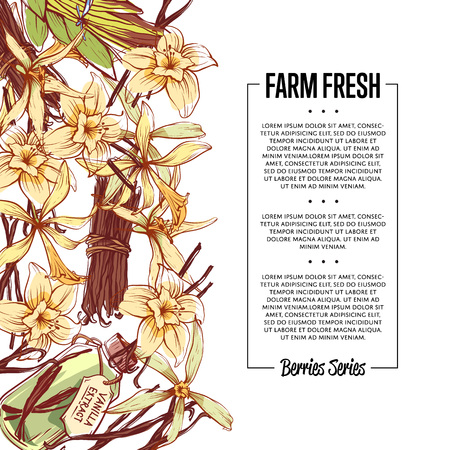 Vanilla spice poster with space for textのイラスト素材