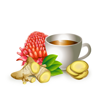 Graphic image of healthy tea cupのイラスト素材