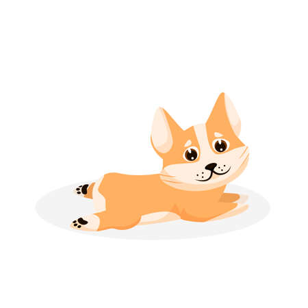 Corgi puppy. Isolated playful purebred red corgiのイラスト素材