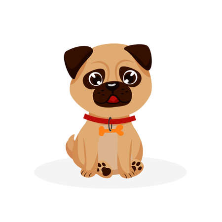 Pug puppy. Isolated purebred pug dog puppy iconのイラスト素材