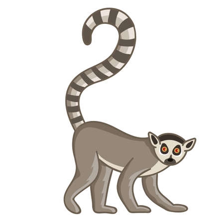 Ring-tailed lemur. Isolated wild apeのイラスト素材