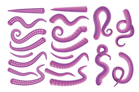 Octopus spiral, curled, straight tentacle setのイラスト素材