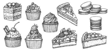 Sweet bakery dessert with cupcake, cake and macaroon sketch. Hand drawn pastry with cream filling, chocolate glaze topping, fruit and cinnamon spice vector illustration isolated on white backgroundのイラスト素材