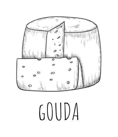 Gouda cheese dairy product sketch drawing isolated on whiteのイラスト素材