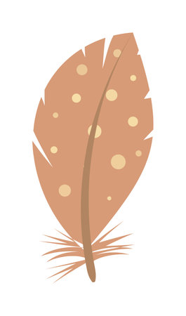 Spotted bird feather wing tail isolated on white backgroundのイラスト素材