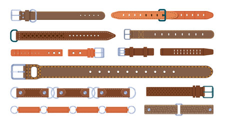 Straight leather or cowhide belt with metal steel buckle set. Elegant thong with strap fashionable garment and trousers haberdashery accessory vector illustration isolated on white backgroundのイラスト素材