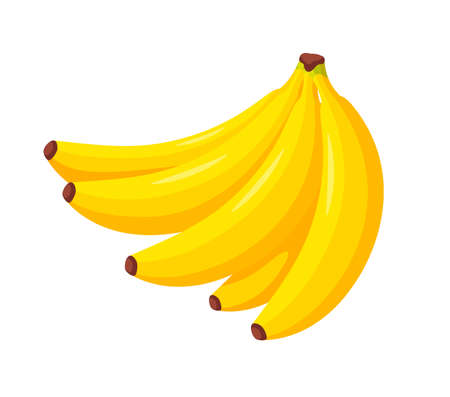 Ripe yellow banana sheaf bunch isolated on white backgroundのイラスト素材