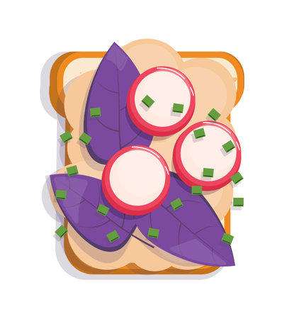 Sandwich with basil and radish isolated on whiteのイラスト素材