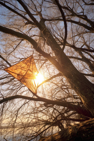 kite tangled in tree branches with sun shining through, created with generative aiの素材