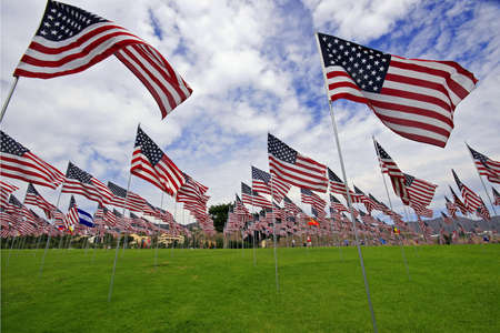 Field filled with flags, mainly USAの写真素材