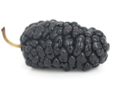 mulberry macroの写真素材